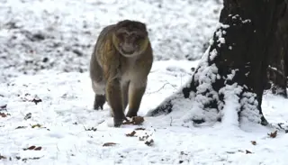 DSC 9793 1400X933 1024X585