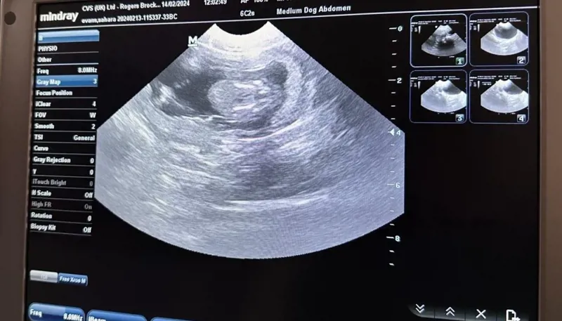 PHOTO 2024 02 14 13 03 44 1024X585