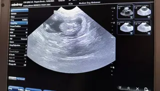 PHOTO 2024 02 14 13 03 44 1024X585