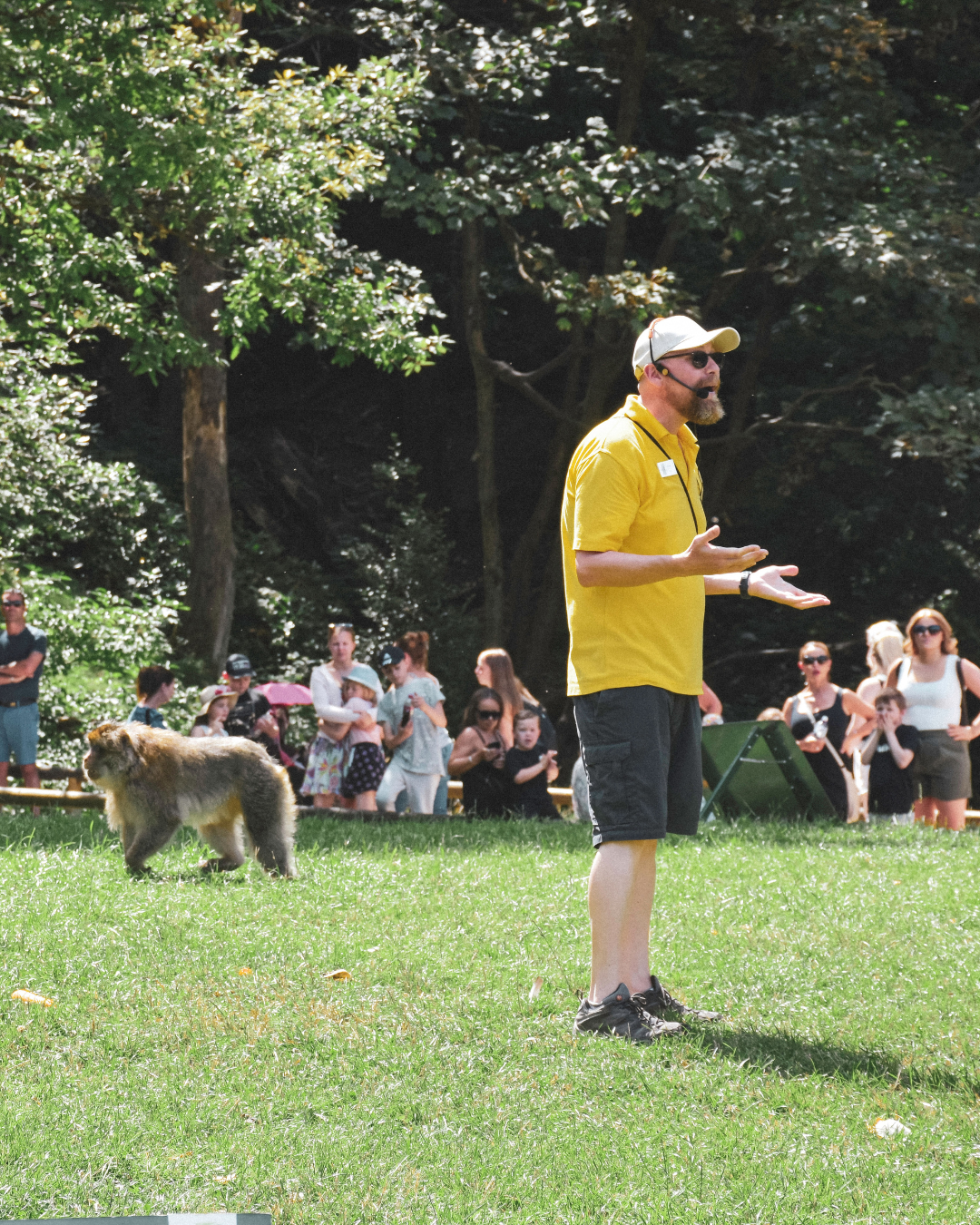 Web Mobile Sliders (6)