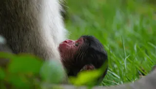 Word Press Blog 2 1024X585