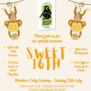 Orange And Brown Monkey Baby Shower Invitation 768X768