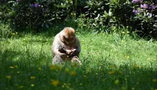 Screenshot 2021 06 04 100111 1024X585