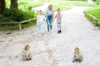 DSC 2709 1000X667 (1)