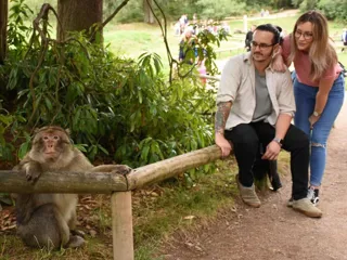 Monkeyforest62