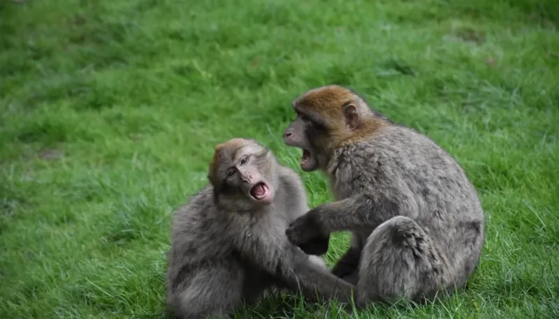 DSC 4510 1400X933 1024X585