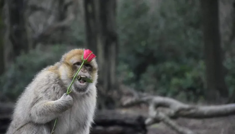 FB 2 1 1400X933 1024X585