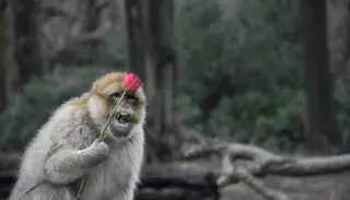 FB 2 1 1400X933 1024X585