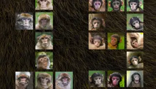 Postcr Facebook Post 1 1024X585 (1)