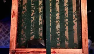 PHOTO 2023 08 18 14 21 31 1050X1400 1024X585