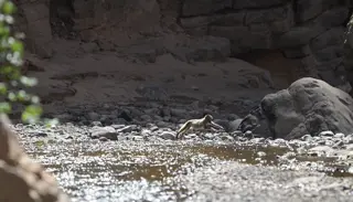 Screenshot 2024 08 14 162836 1024X585