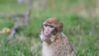 DSC 7150 1400X933 1024X585