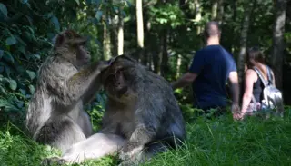 DSC 7307 1400X933 1024X585