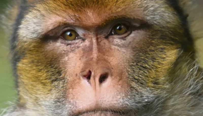 Trendy Nude Aesthetic Photo Collage Inspiration Your Story 1024X585