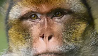 Trendy Nude Aesthetic Photo Collage Inspiration Your Story 1024X585