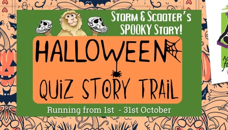 WALK 6 1400X595 1024X585