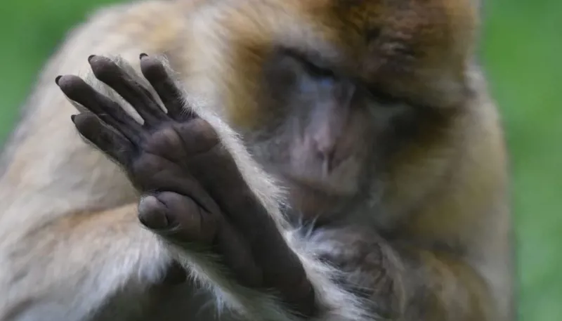 DSC 8152 1400X933 1024X585