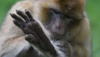 DSC 8152 1400X933 1024X585