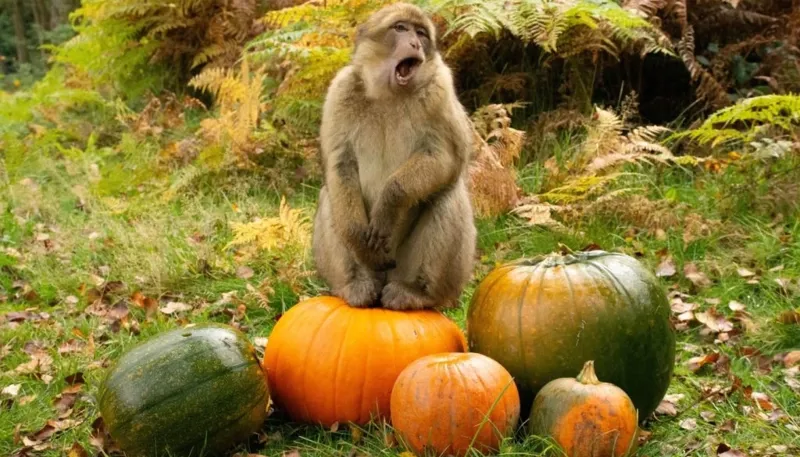 DSC 4157 1400X933 1024X585