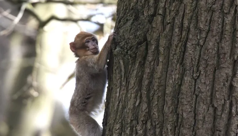 DSC 1501 1400X933 1024X585