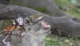 DSC 7447 1400X933 1024X585