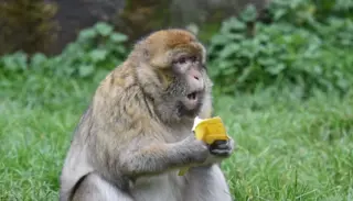 DSC 8611 1400X933 1024X585