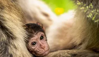 DSC00429 1400X933 1024X585