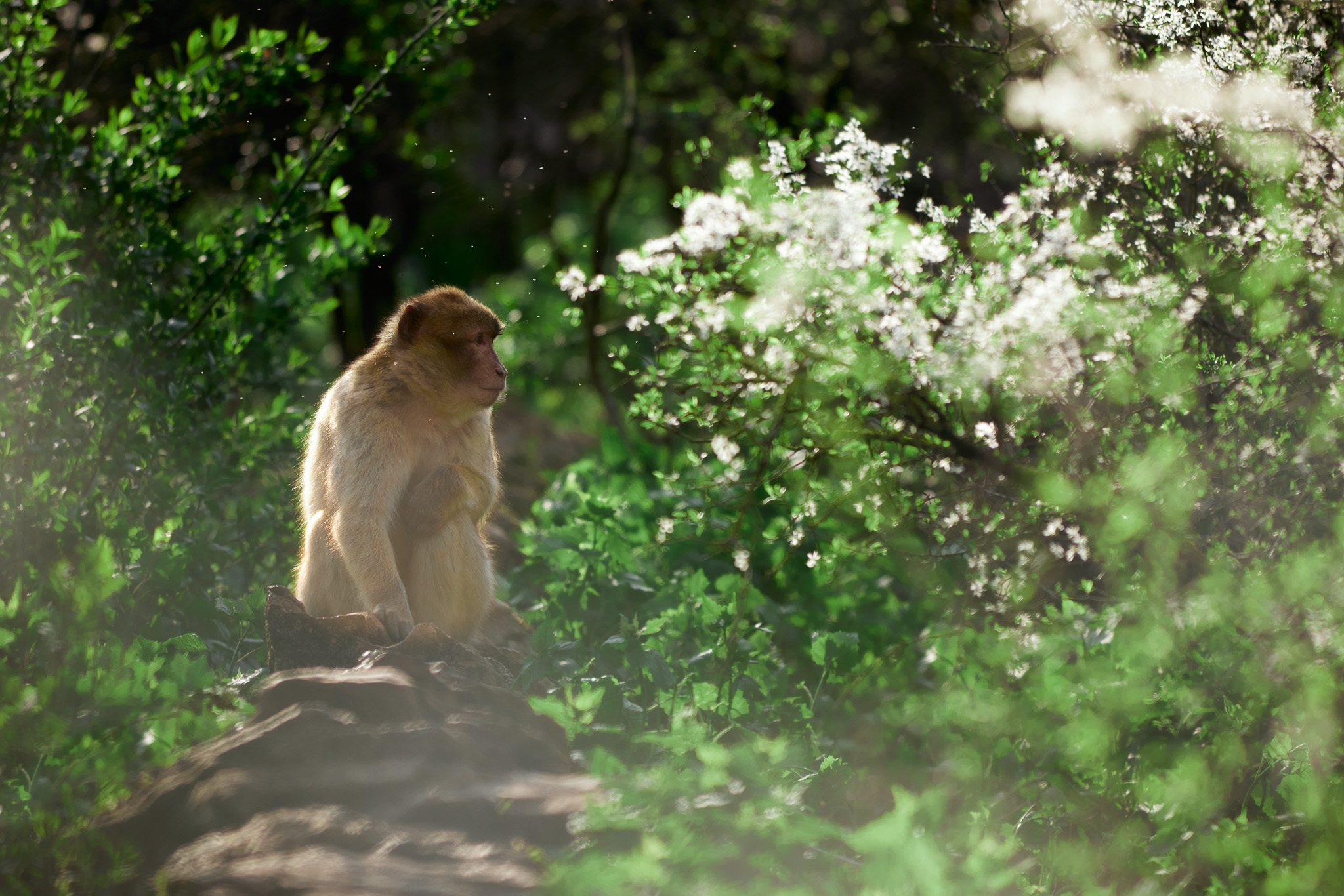 Drive Download 2025 (15)