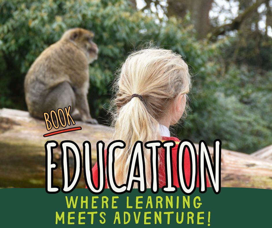 Our Monkey Live Stream! (6)