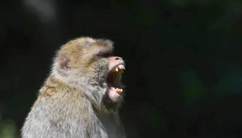 DSC 8298 1400X786 1024X585