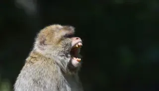 DSC 8298 1400X786 1024X585