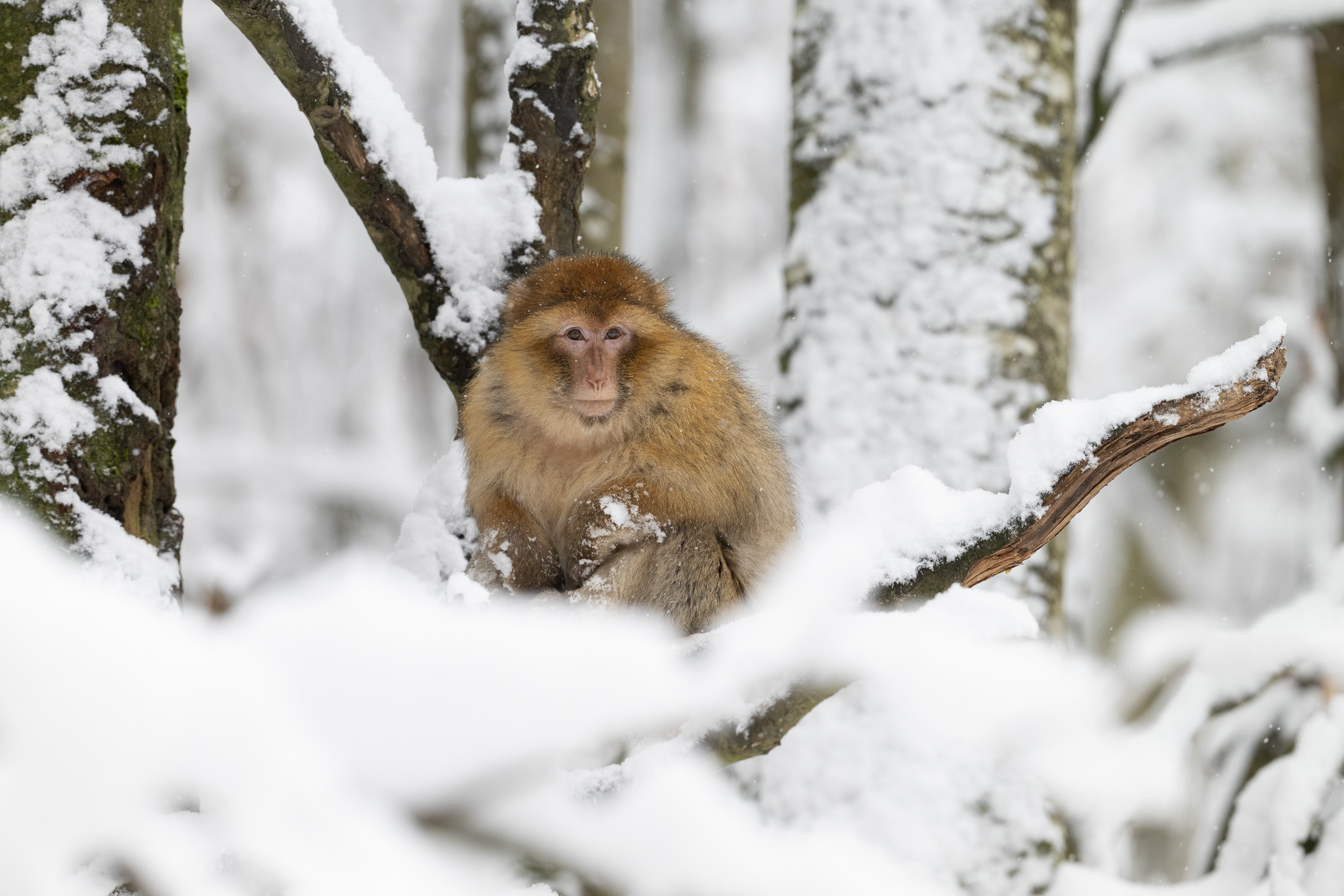 Drive Download 2025 (65)