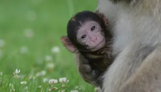 DSC9609 1400X933 1024X585