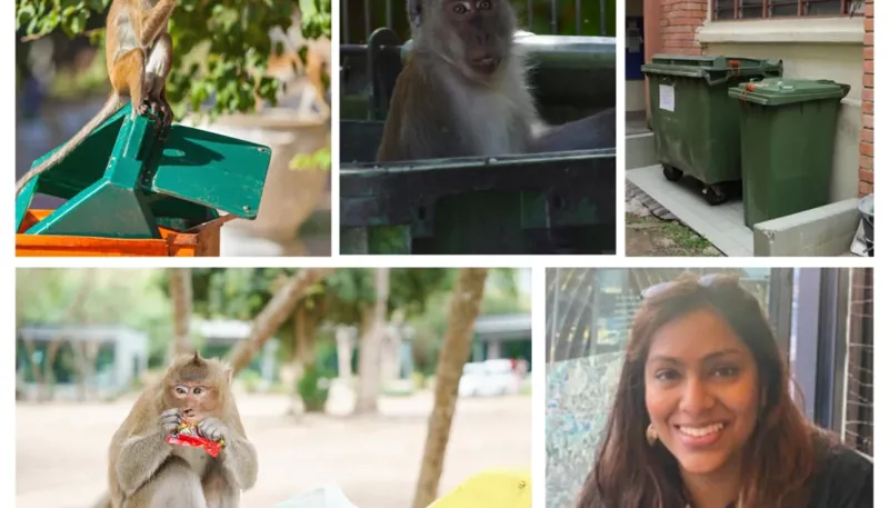 Conservation Collage 1400X1120 1024X585