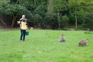 Screenshot 2021 06 17 101808