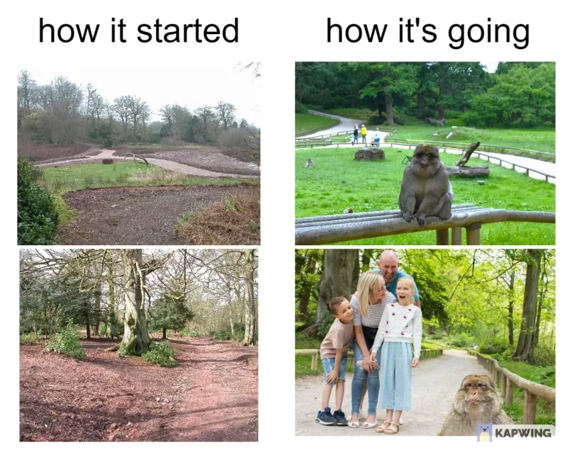 How It Started How Its Going 1000X794