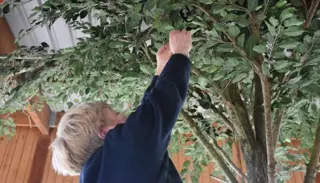 DSC 1321 1400X933 1024X585