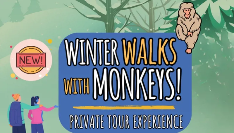 Winter Walks BRAND NEW 1024X585