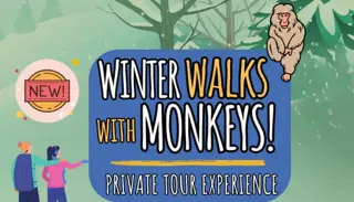 Winter Walks BRAND NEW 1024X585