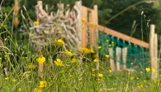 B71666a1 Deea 4A62 Adab 74A1efccc7aa 1024X585