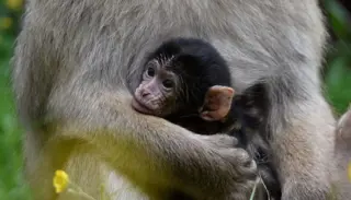 DSC6051 1400X933 1024X585