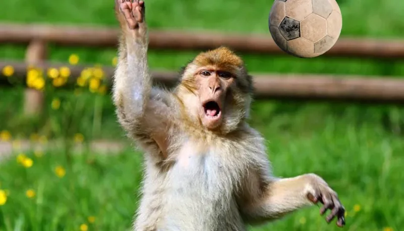 Untitled Design 44 1400X934 1024X585