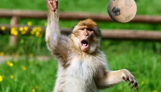 Untitled Design 44 1400X934 1024X585