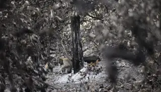 BMAC 1 1400X933 1024X585