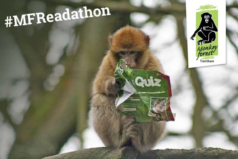 Readathon