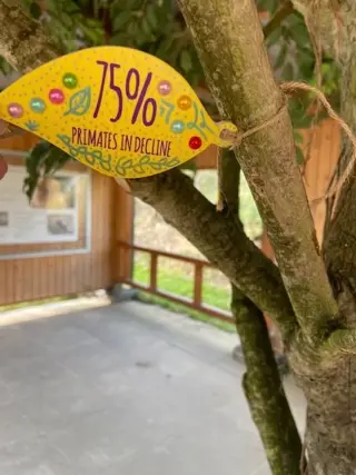 IMG 3459 E1646906187172