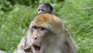 Screenshot 2021 07 13 095038 1024X585