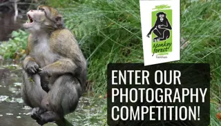 Blog 1400X700 1024X585