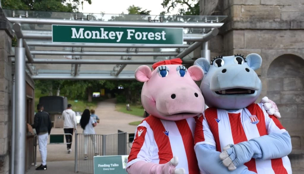 DSC 8827 1400X933 1024X585