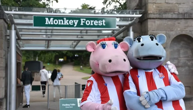 DSC 8827 1400X933 1024X585